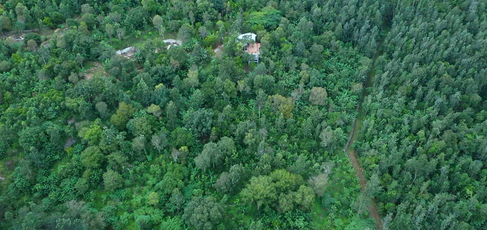 Welcome to a 12 acre Forest Homes